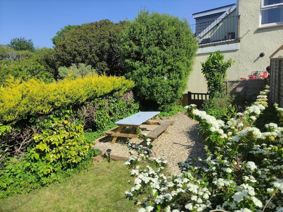 Cosy In A Quaint Village In North Devon. *